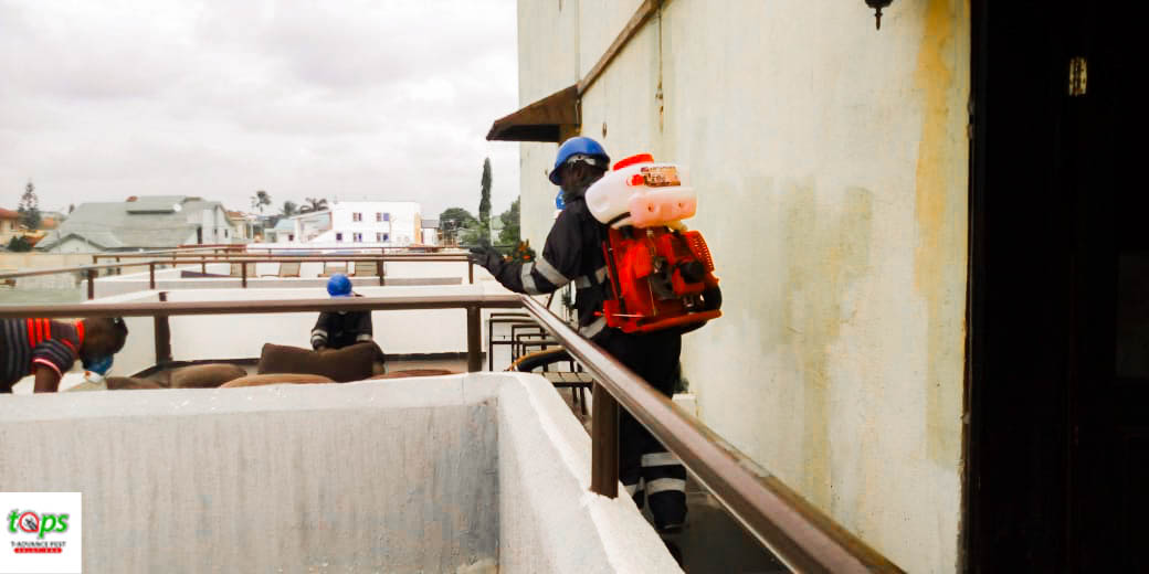 t-advance pest project picture