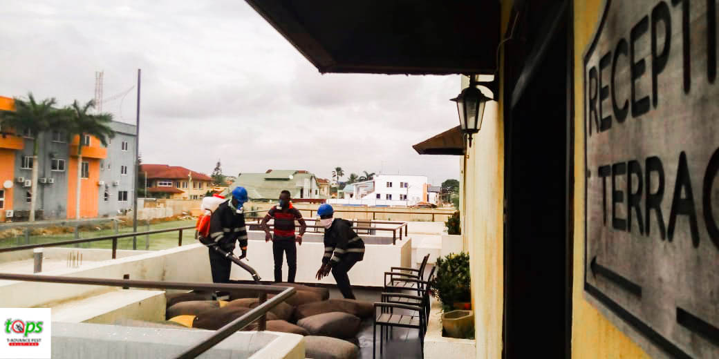 t-advance pest project picture